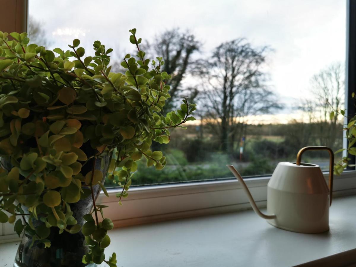 Redbrook Farm Bnb - Gateway To The New Forest Fordingbridge Eksteriør bilde