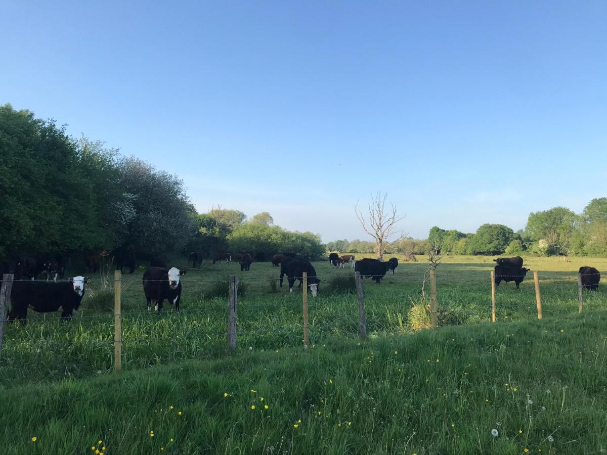 Redbrook Farm Bnb - Gateway To The New Forest Fordingbridge Eksteriør bilde