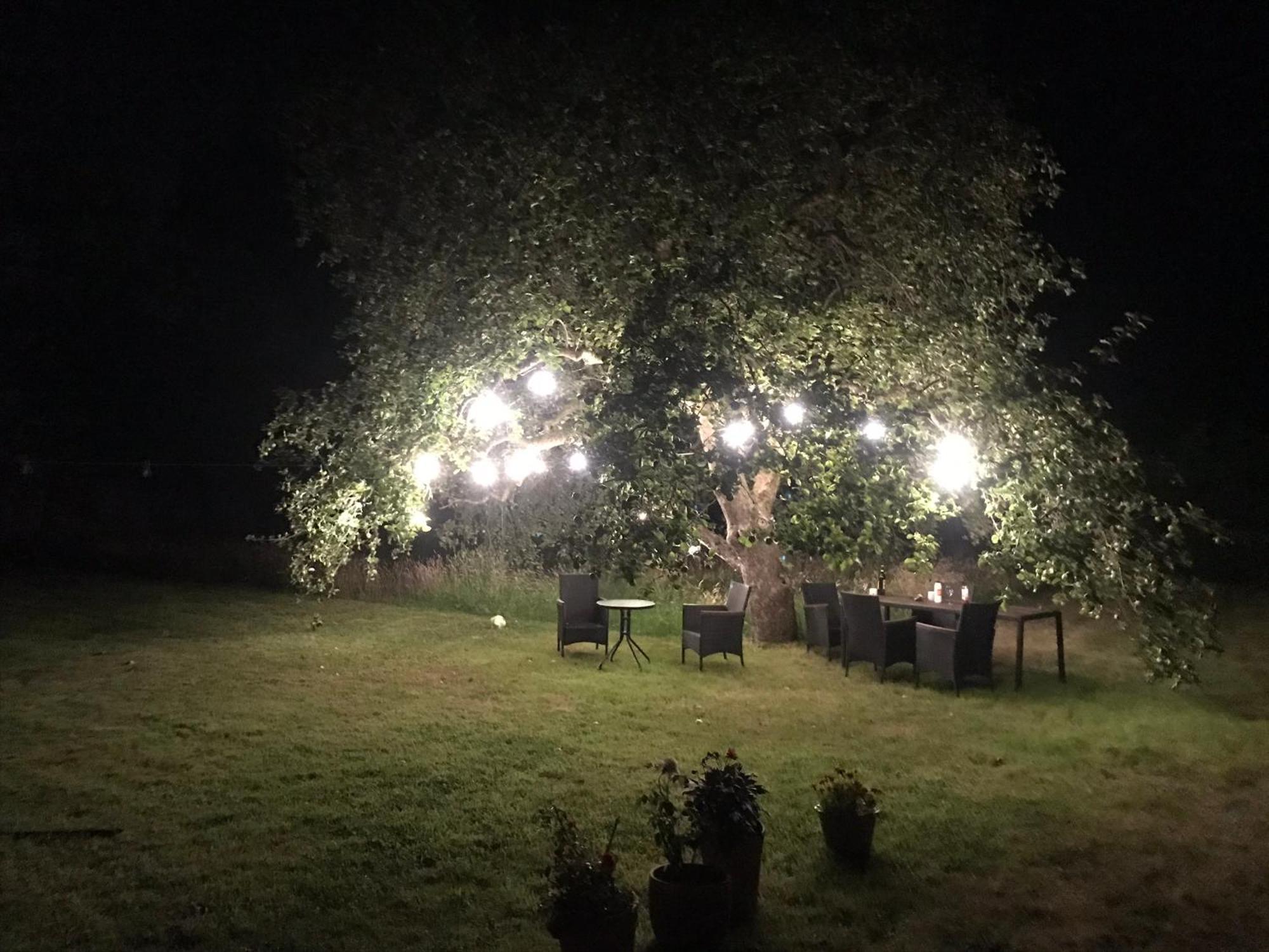 Redbrook Farm Bnb - Gateway To The New Forest Fordingbridge Eksteriør bilde