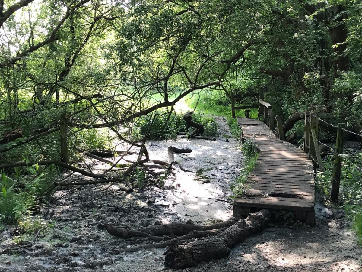 Redbrook Farm Bnb - Gateway To The New Forest Fordingbridge Eksteriør bilde