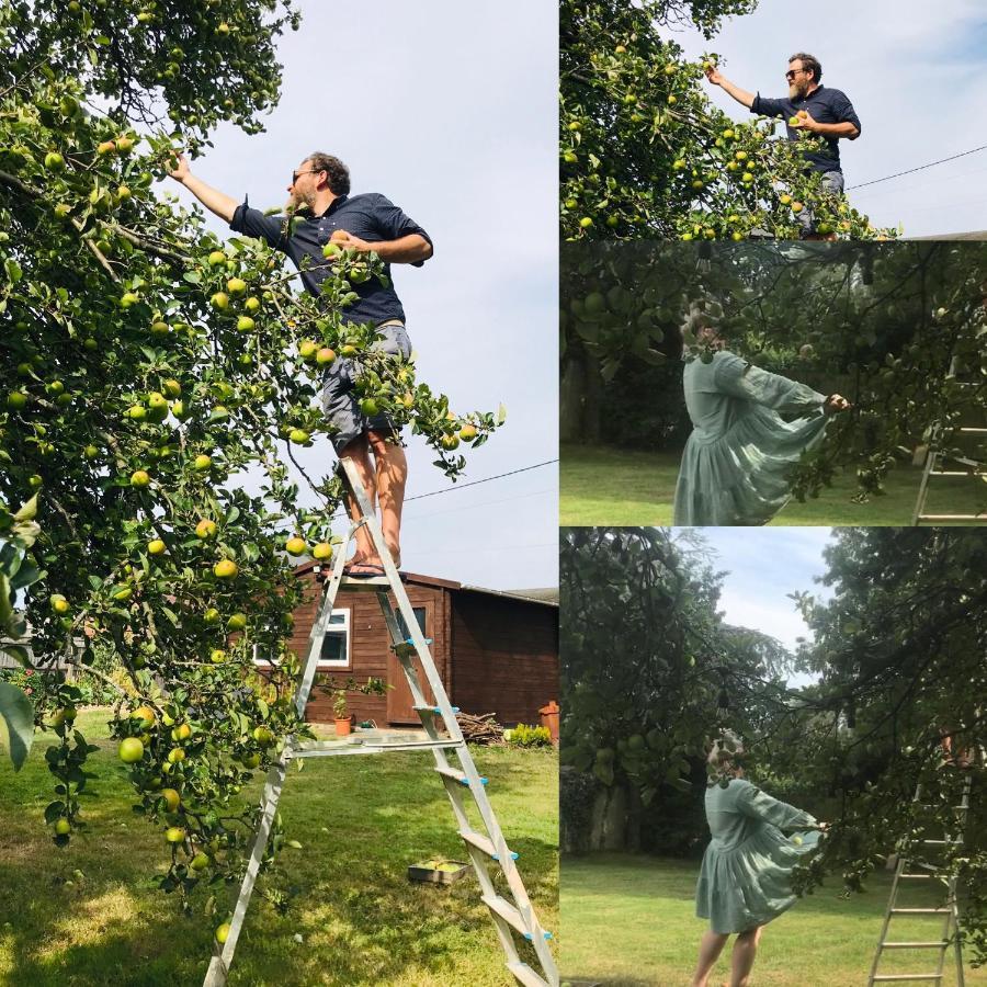 Redbrook Farm Bnb - Gateway To The New Forest Fordingbridge Eksteriør bilde