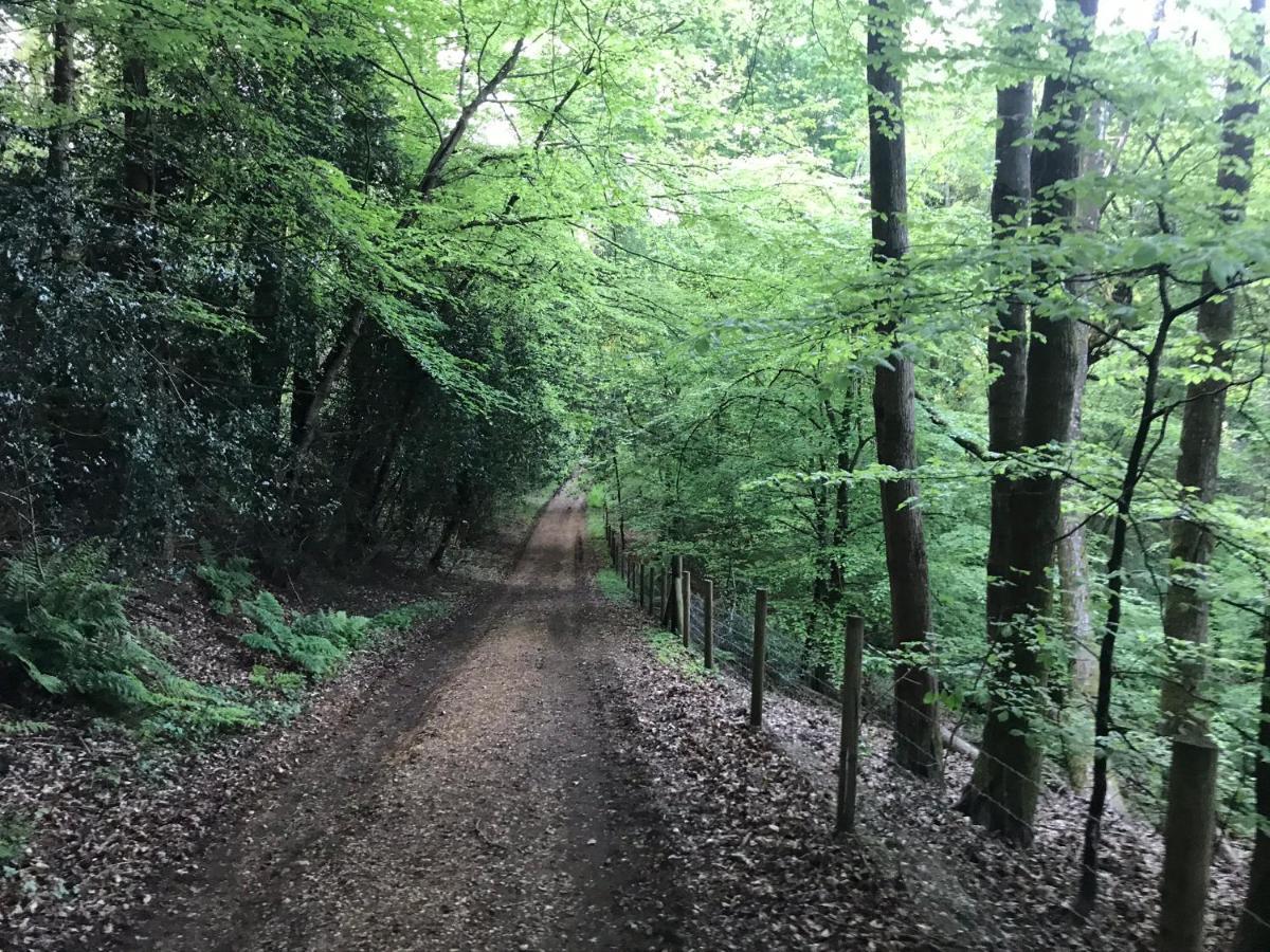 Redbrook Farm Bnb - Gateway To The New Forest Fordingbridge Eksteriør bilde
