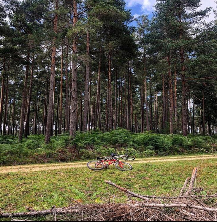 Redbrook Farm Bnb - Gateway To The New Forest Fordingbridge Eksteriør bilde