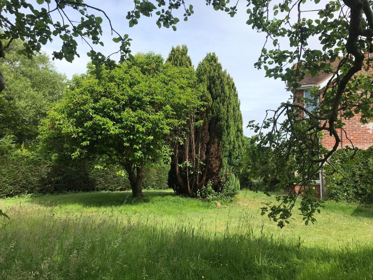 Redbrook Farm Bnb - Gateway To The New Forest Fordingbridge Eksteriør bilde